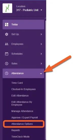 Navigate to the “Attendance Options” page.