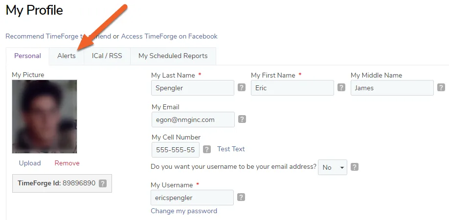 Select the Alerts tab