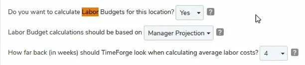 Enable the settings for Labor Budgets