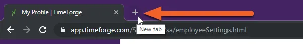 Open a new browser tab or window