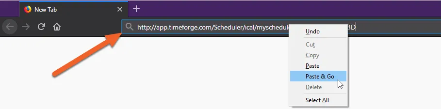 Paste the copied URL and hit enter (or Paste & Go)