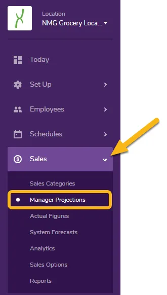 How to enter manager projections